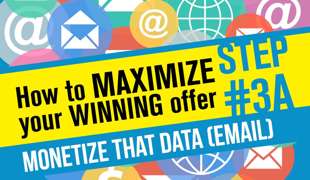 How To Maximize Your Winning Offer Step 3A: Monetize That Data (Email)