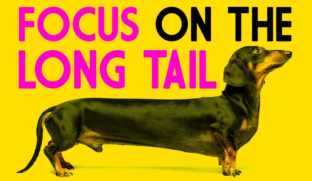 Want To Be Successful? Focus On The Long Tail.