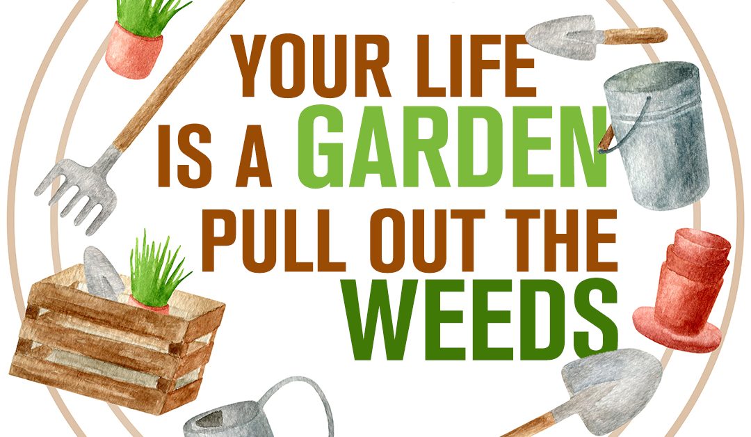 Your Life Is A Garden, Pull Out The Weeds (Lessons From Billionaires)