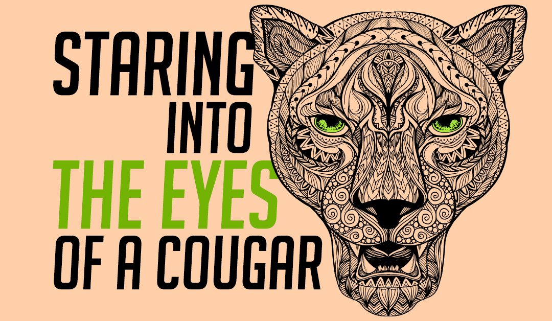 Staring Into the Eyes of a Cougar