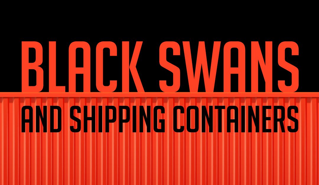 Black Swans and Shipping Containers