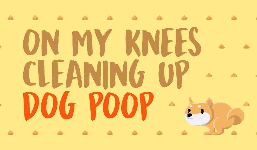 On My Knees Cleaning up Dog Poop