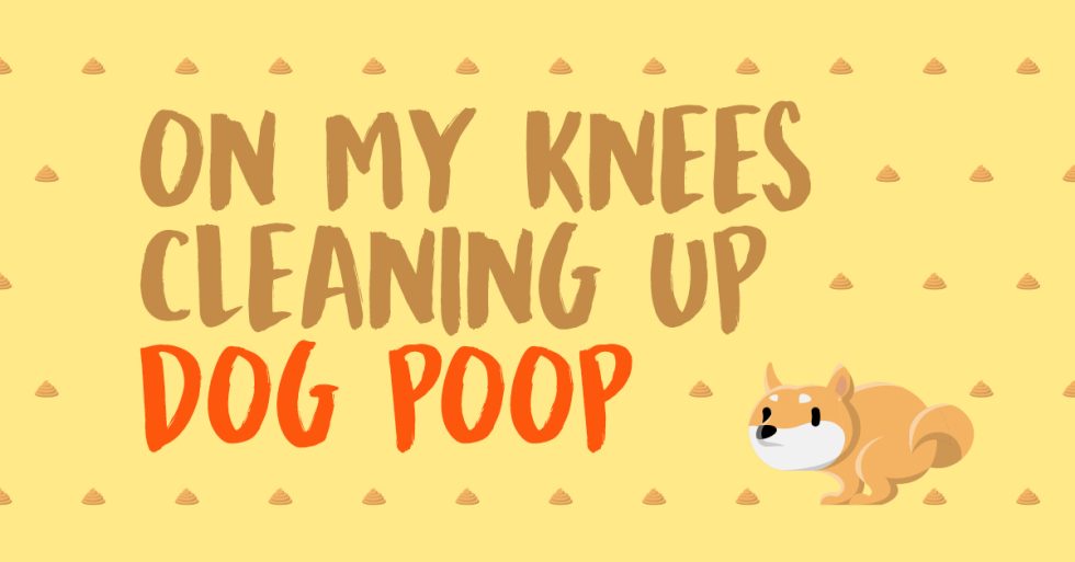 On My Knees Cleaning up Dog Poop Stefan
