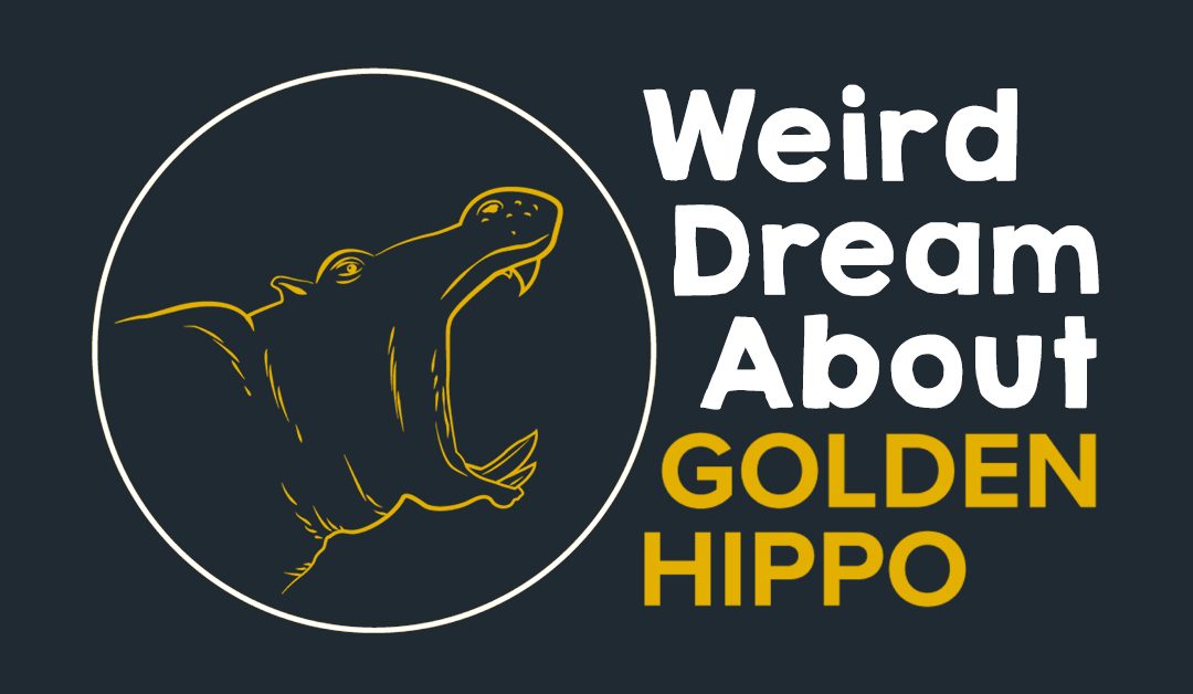 Weird Dream About Golden Hippo